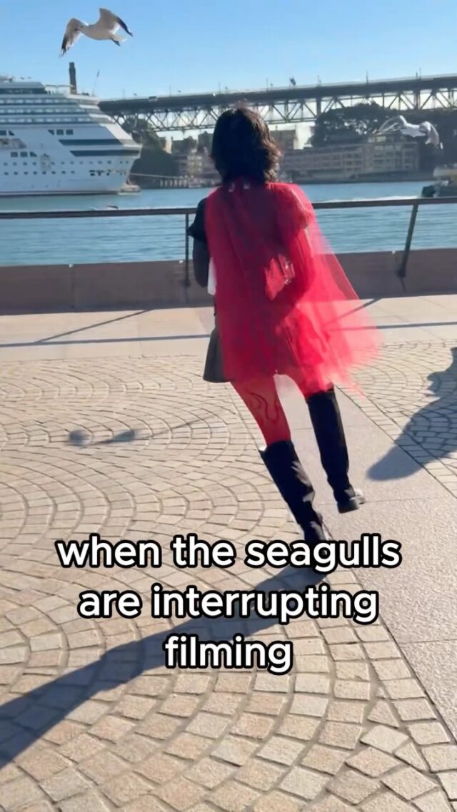 They’re so annoying 😒🍿

@voh.rox 

#animal #funny