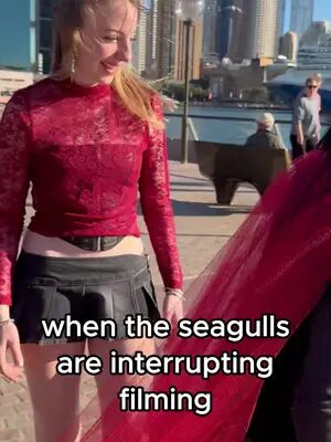 They’re so annoying 😒🍿 @VOH  #animals #funny